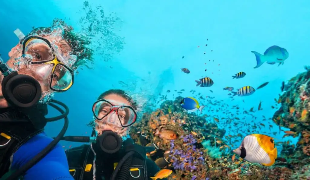 Is It Okay To Scuba Dive With Neck Pain? PostureInfoHub