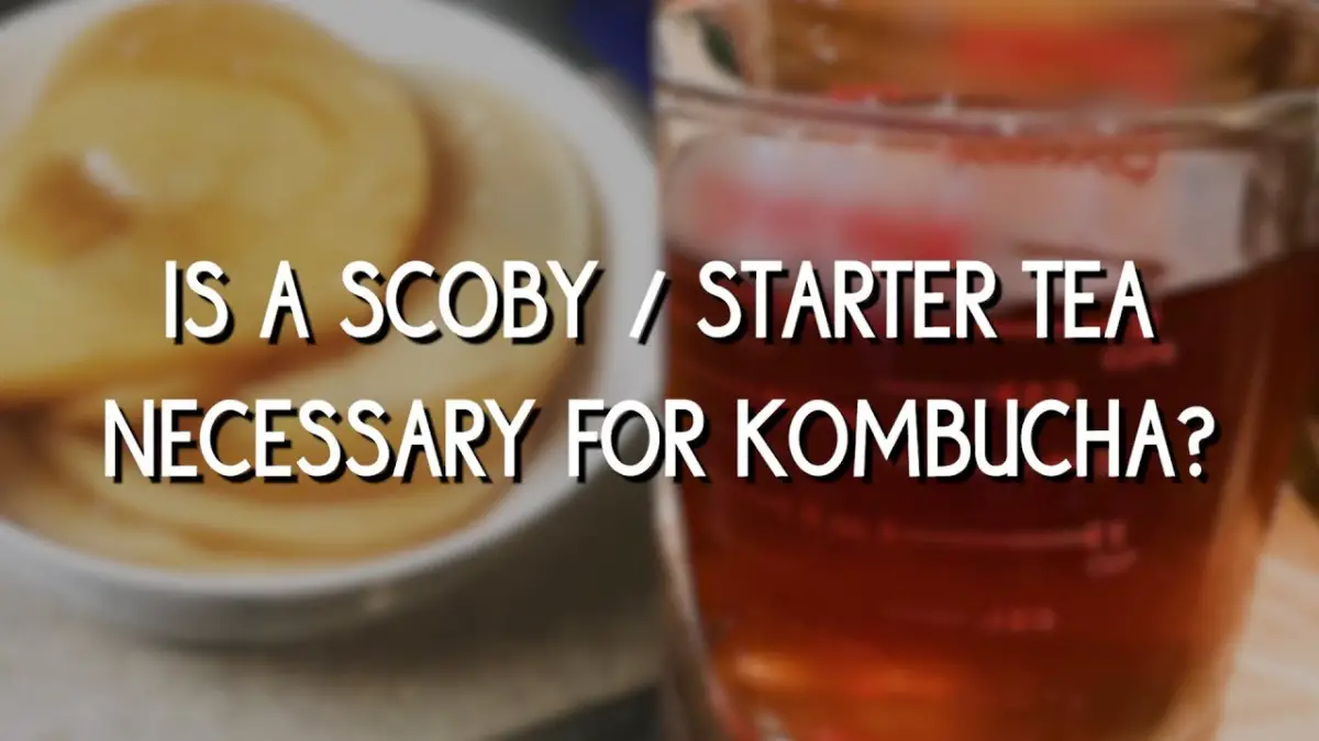 Can You Make Kombucha Without Tea