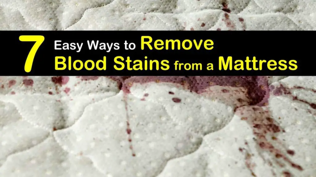 How to Clean a Mattress Remove Blood Stains and Urine PostureInfoHub