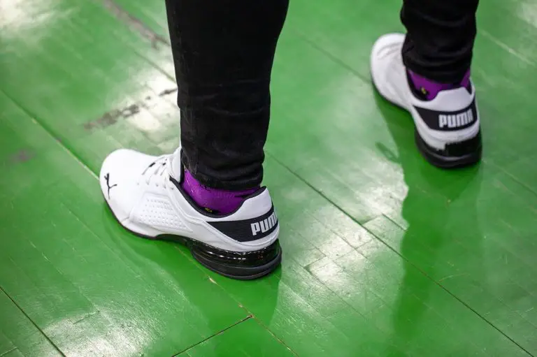 Do Pumas Run Big Or Small? PostureInfoHub