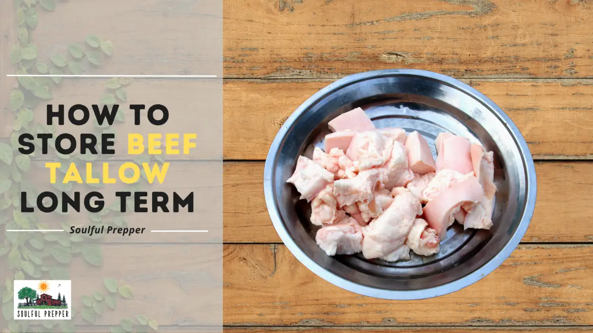 How Long Does Beef Tallow Last? PostureInfoHub