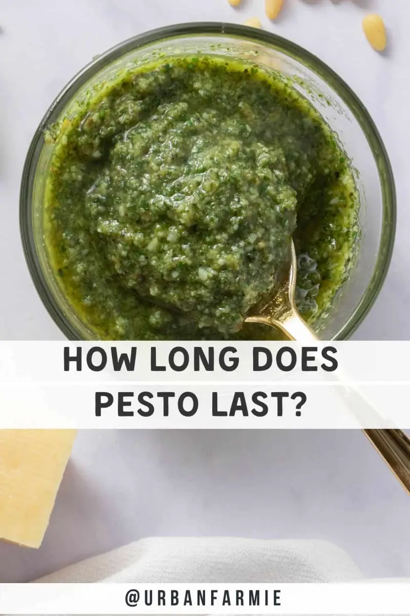How Long Does Pesto Last After Opening? PostureInfoHub