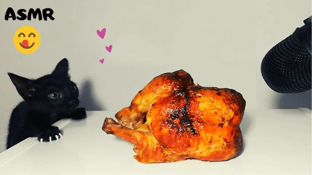 Can Cats Eat Rotisserie Chicken? PostureInfoHub