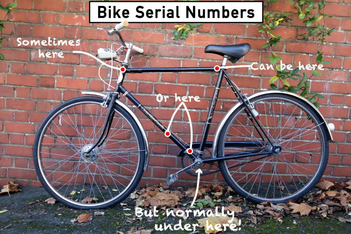 Where are serial numbers for a Fuji mountain bike located